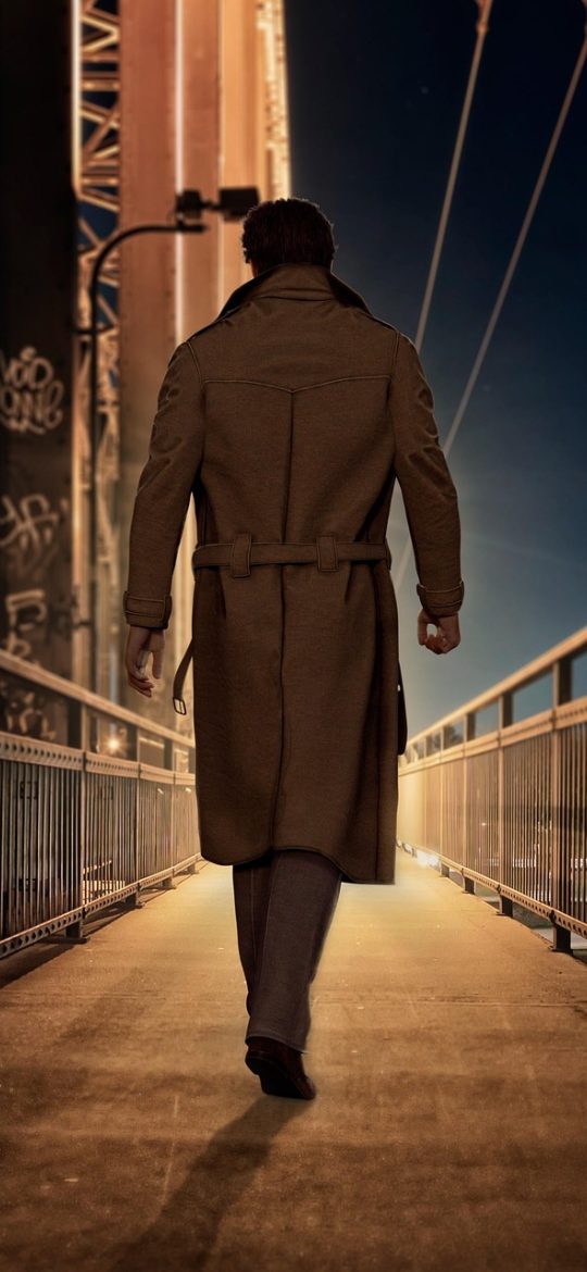 手机屏幕上显示作品详情页，作品封面与简介在页面上半部分，下方是章节列表，已读章节显示为暗色，未读章节高亮